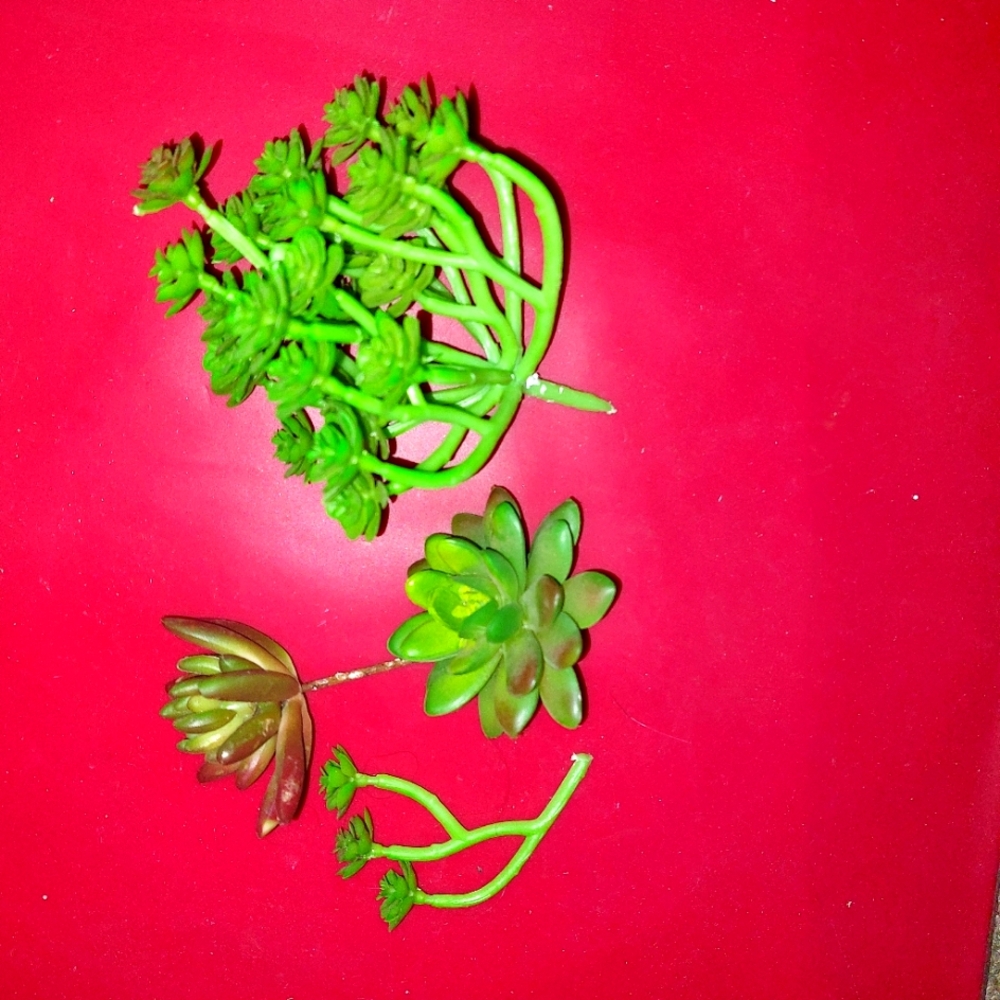 Plants artificial
